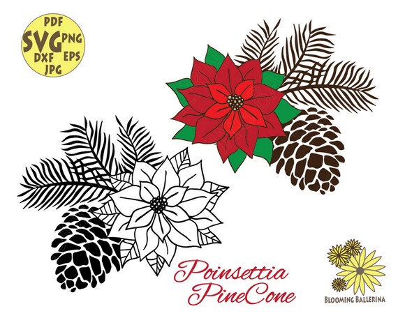 Download Christmas Flower Svg Poinsettia Svg Pinecone Svg Flower Svg Etsy