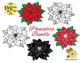 Christmas flower svg,  Poinsettia svg, Floral Svg, Flower svg bundle, Winter svg, Poinsettia flower, Christmas decor svg, Floral bundle