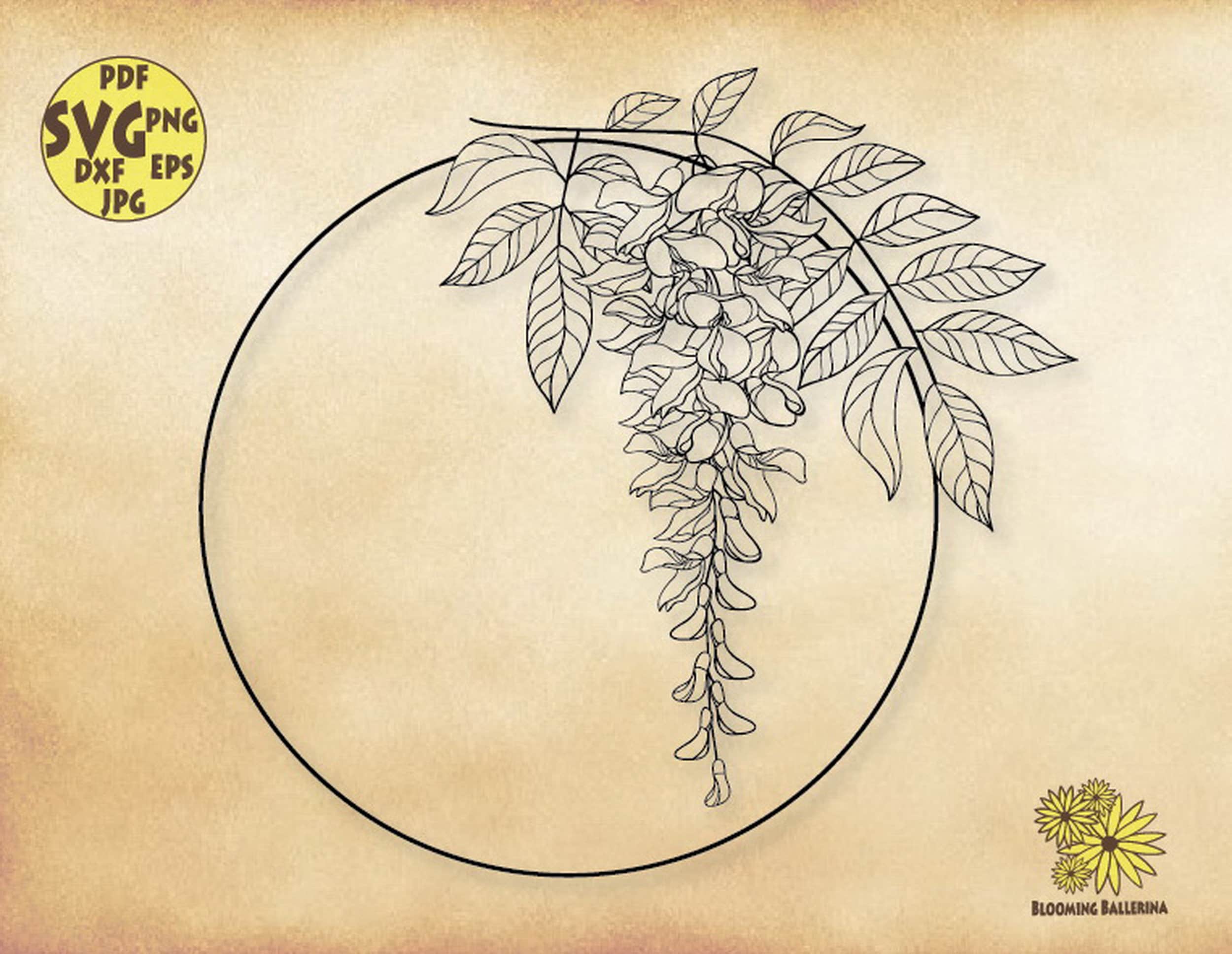 Wisteria Svg Wisteria Png Wisteria Frames Svg Floral Frames Etsy