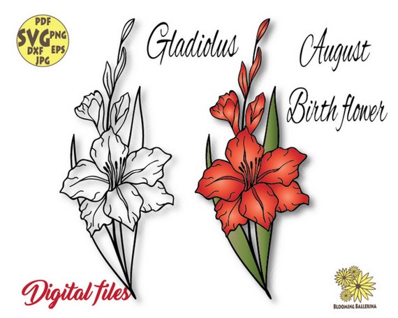 50 Gladiolus Tattoo Designs with Meaning | Art and Design