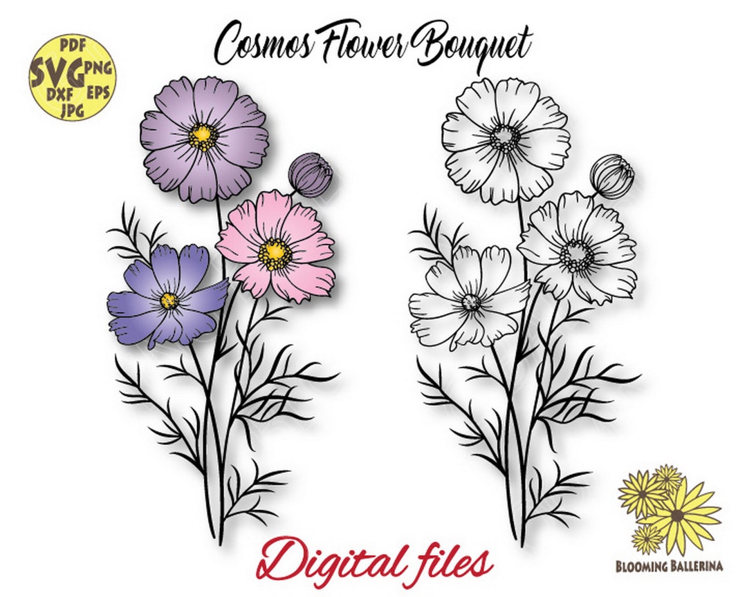 Cosmos Flower Bouquet Svg File, October Birth Flower Svg, Cosmos Flower