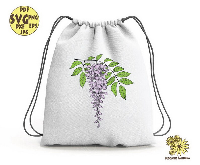 Wisteria Svg Wisteria Flower Svg Wisteria Png Wisteria Etsy