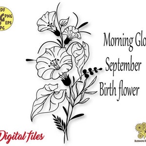 Morning Glory birth flower Svg, September Birth card gift, Virgo flower svg, Virgo Svg, September Svg, Morning Glory Svg, Birth Month Svg