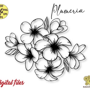 Plumeria Svg, Flor tropical Svg, Hawaii svg, Flor hawaiana svg, Flores tropicales svg, Plumeria Bouquet Svg, Plumeria Png, Plumeria cricut
