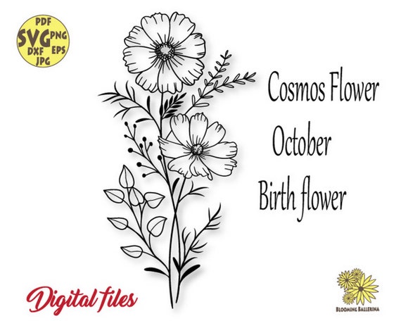 Cosmos Flower Bouquet Svg file, October Birth flower Svg, Libra Svg, Floral Zodiac Svg, October Svg, Botanical Svg, Wildflowers Svg, Floral