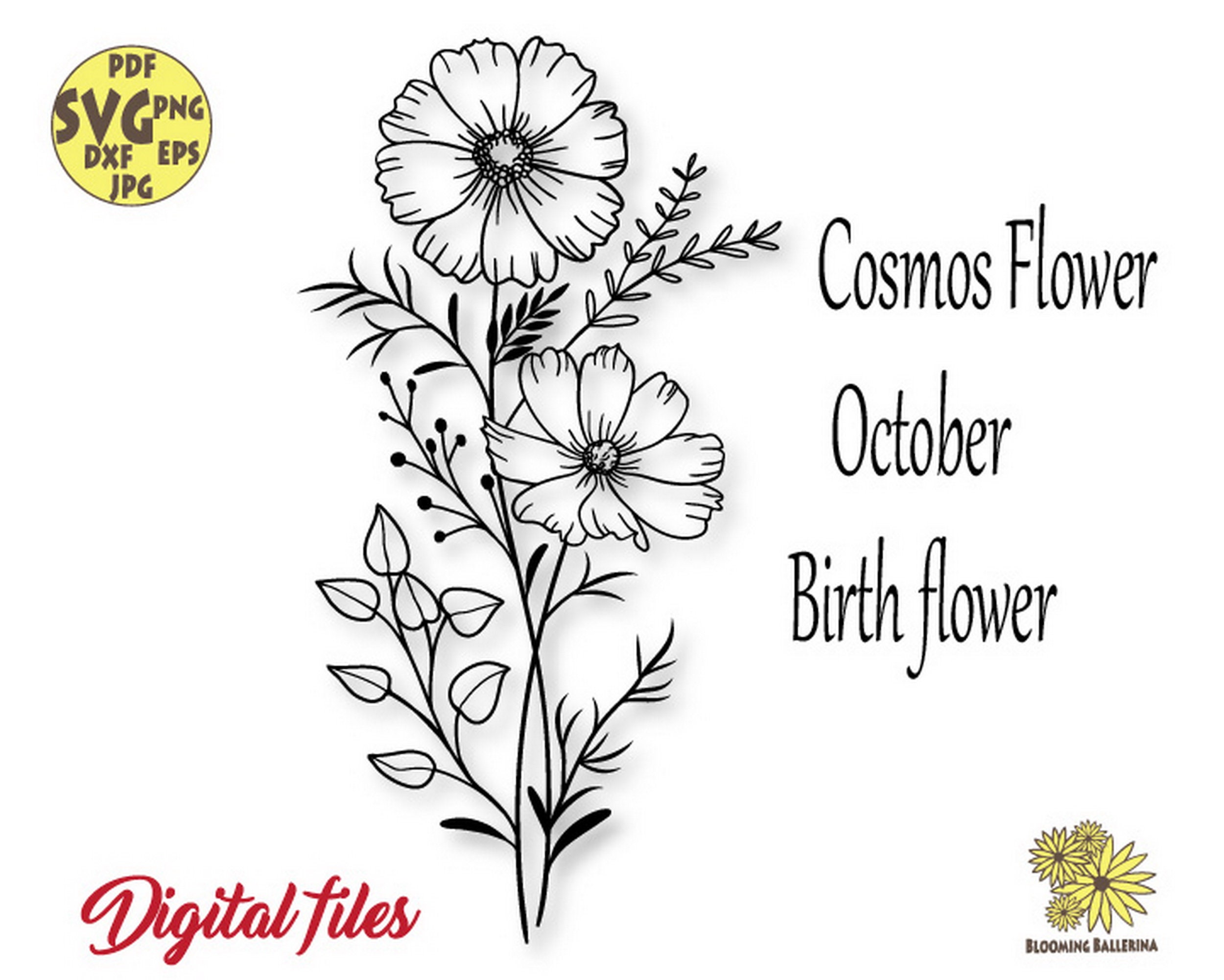 October Birth Month Flower Cosmos Floral Svg Bouquet