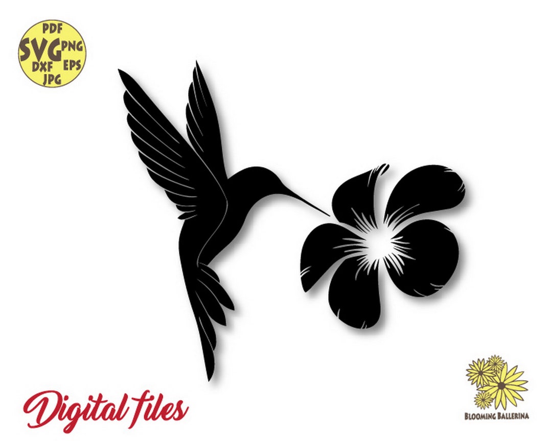 Colibi Svg Colibrí Svg, Escena de colibrí Svg, Plumeria Svg, Flor tropical ...