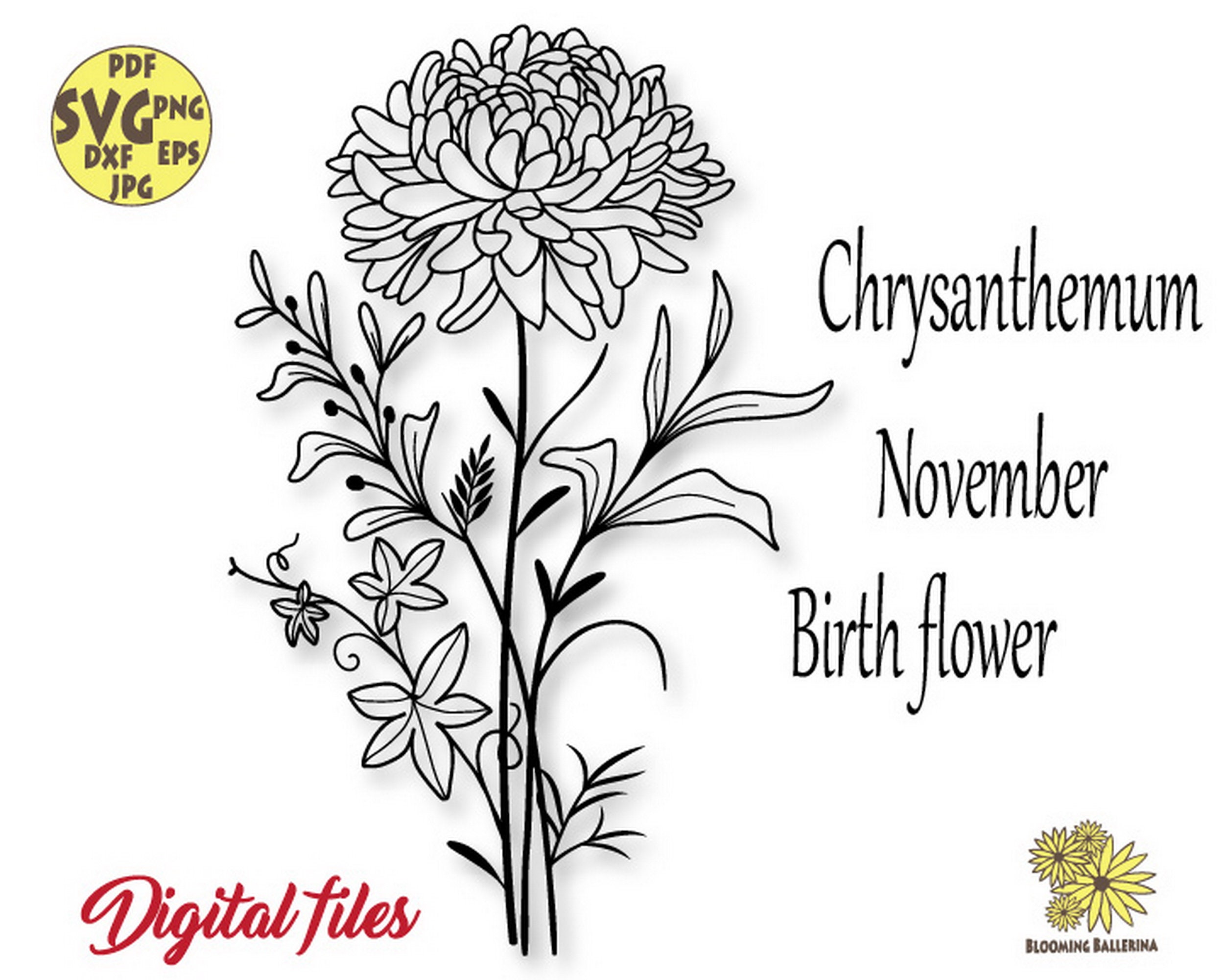 Chrysanthemum Svg November Birth Flower Svg Floral Zodiac - Etsy