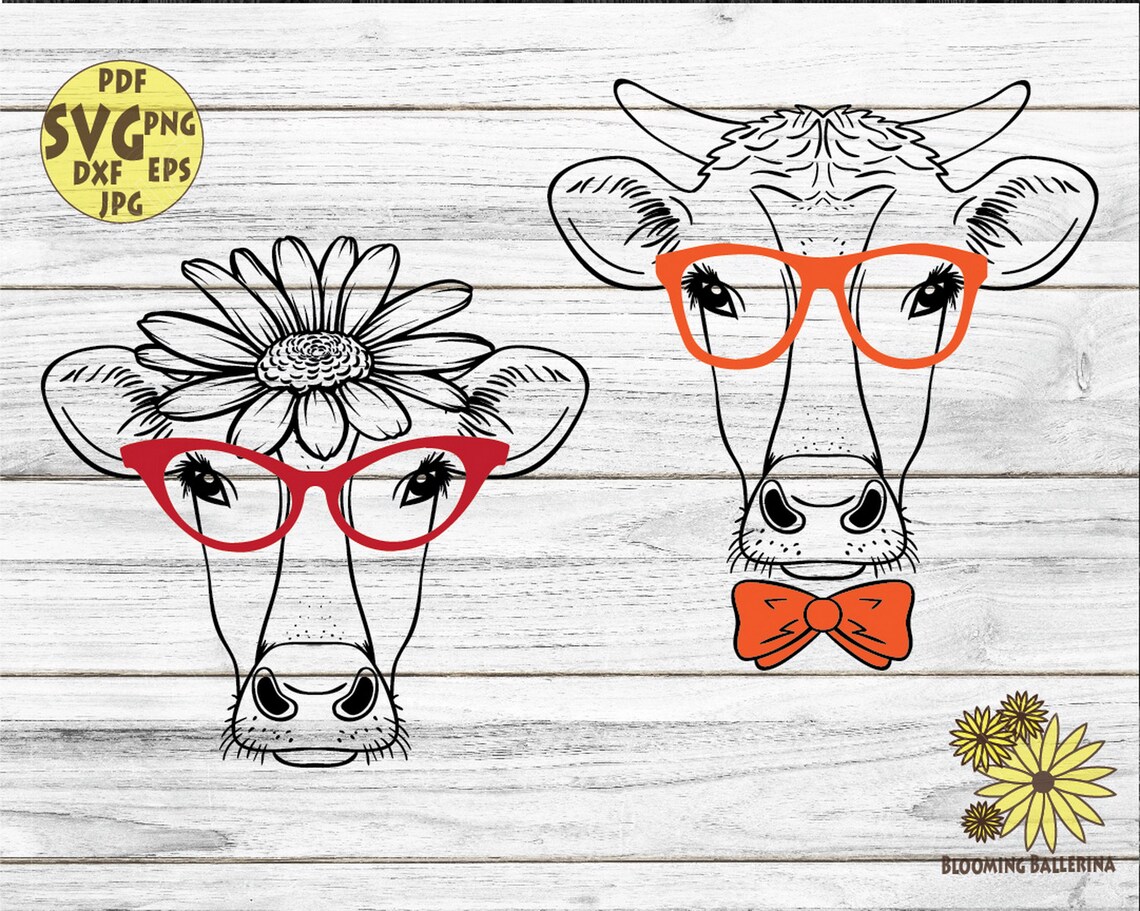 Download Cows Svg Cow with glasses Svg Floral Cow Cow Family Svg | Etsy