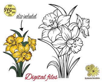 Narcissus Flower Bouquet Svg file, March Birth Month flower Svg, Daffodil Svg, Narcissus Png, Floral bouquet png, Spring Svg, Flower Svg