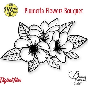 Plumeria bloem SVG, tropische bloem SVG, Hawaii SVG, zomer SVG, Plumeria SVG, Plumeria bloemen, Plumeria PNG, Hawaiiaanse SVG, tropische SVG