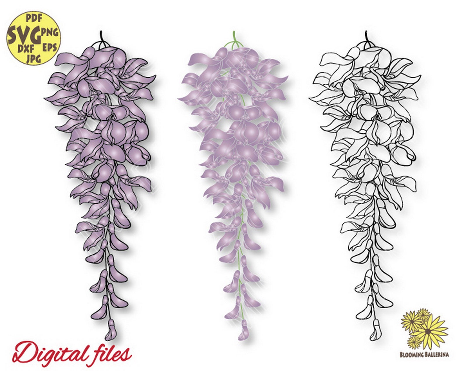 Wisteria Svg Bundle Wisteria Flower Svg Wisteria Png Etsy