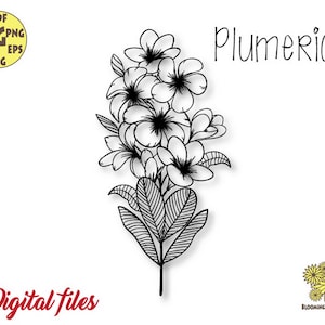 Plumeria Svg, Plumeria Flower Svg, Flower Bouquet Svg, Plumeria digitaal bestand, Plumeria Png, Flower Bouquet Svg, Tropical Flower Svg, Hawaii