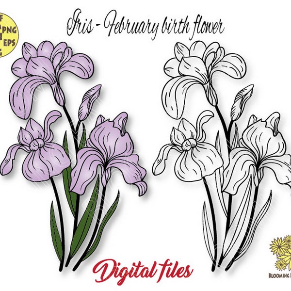 Iris Flower Bouquet Svg file, February Birth Flower Svg, Iris Flower Png, Violet Iris Svg,Birth Month Flower Svg,Iris Flower Cricut Cut file