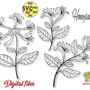 Bundle Honeysuckle flower svg file, Honeysuckle png, Wedding Honeysuckle svg,Birth month flower Svg,June Birth Flower Svg,Honeysuckle cricut