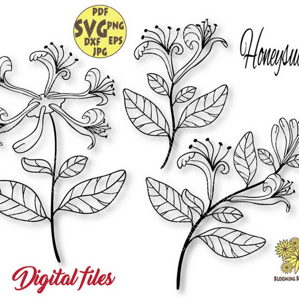 Bundle Honeysuckle flower svg file, Honeysuckle png, Wedding Honeysuckle svg,Birth month flower Svg,June Birth Flower Svg,Honeysuckle cricut