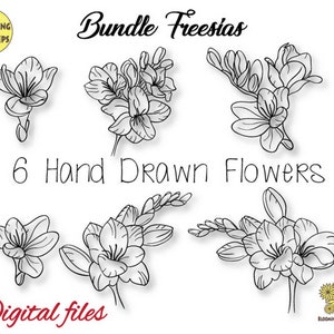 Freesia Svg, Freesias Png, Bundle Freesias digital files, reesias Bundle, reesia Svg, Freesia Png, Freesia cut file,Freesias Weeding Flowers