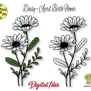 Daisy Svg, Bouquet Svg file, April Birth Flower Svg, Daisy Png, Daisies Svg, Birth Month Flower Svg, Daisy Flower Cricu, Daisy Cut file