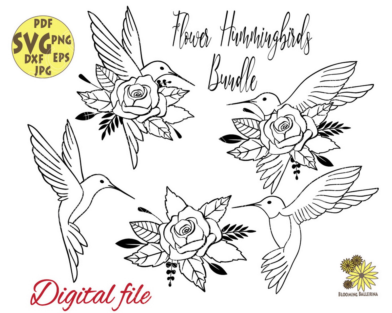 Blumen Kolibri mit Rosen Blätter und Knospen Svg Datei Blumen Kolibri mit Rosen Blätter und Knospen Svg Datei