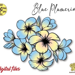 Plumeria Png, Tropische bloem Svg, Plumeria Svg, Hawaii svg, Hawaiian bloem svg, Tropische bloemen svg, Plumeria Boeket Png, Plumeria cricut