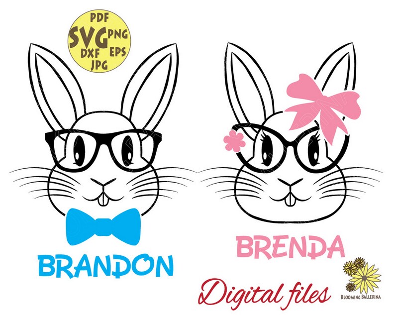 Bunnies Svg Girl Bunny Boy Bunny Rabbit Vector Glasses Etsy