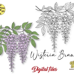Wisteria Svg, Wisteria Clipart, Wisteria Flower Branch Svg, Spring Svg, Bloom Svg, Wedding Flower Svg, Wisteria Flower Svg, Wisteria Png,