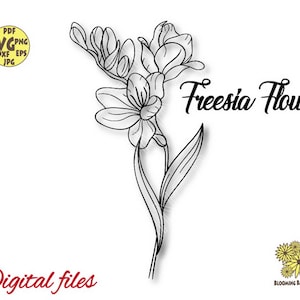 Freesia Svg, Freesia Png, Freesia Flower Svg, Spring flowers svg, Botanical Art, Hand drawn floral illustrations, Plant Svg, Floral Svg