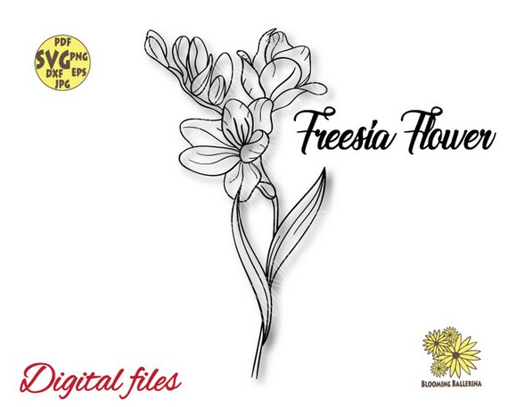 Freesia Svg, Freesia Png, Freesia Flower Svg, Spring Flowers