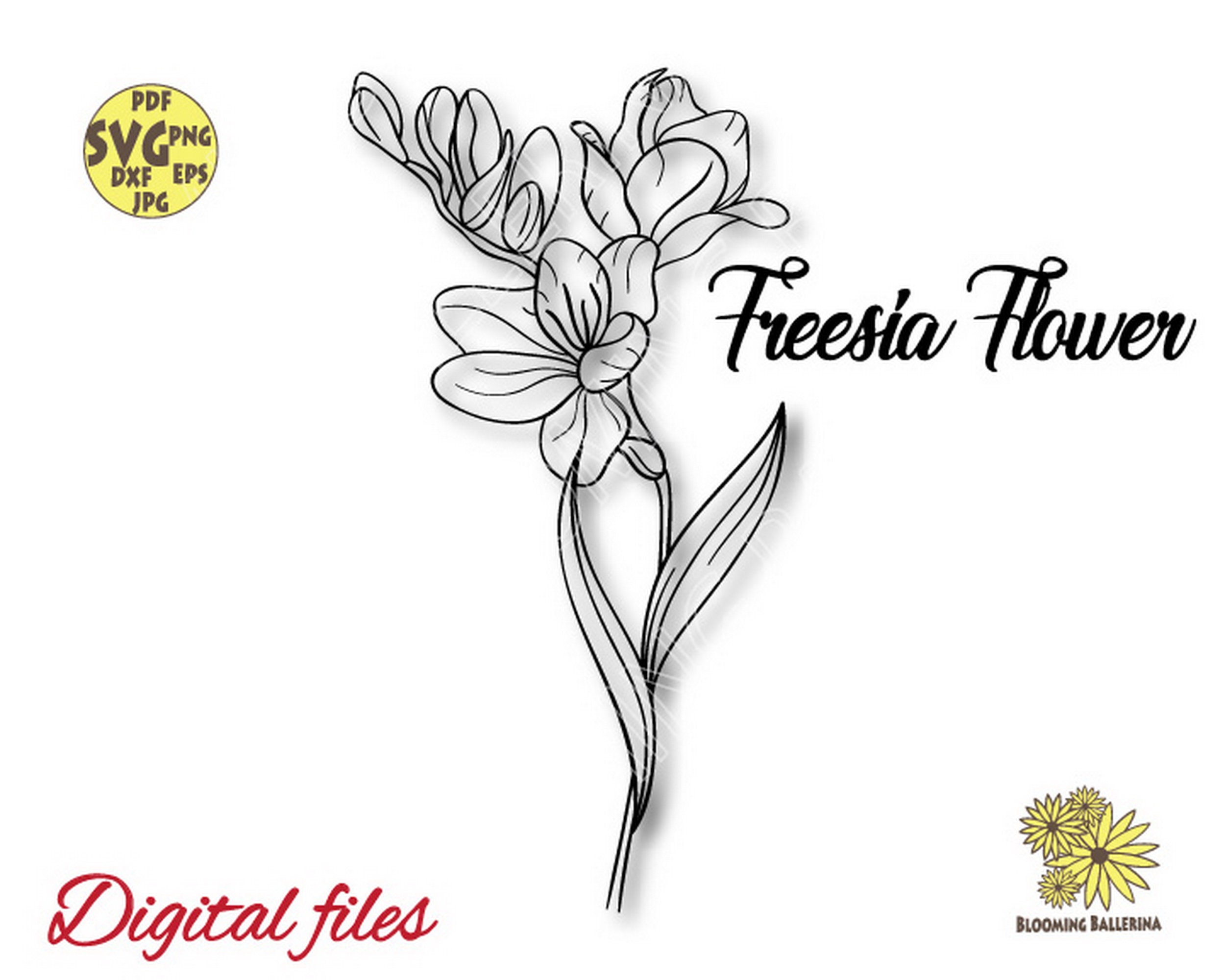Freesia Svg, Freesia Png, Freesia Flower Svg, Spring Flowers