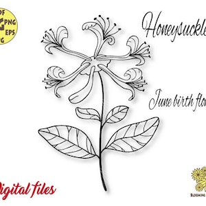 Honeysuckle flower svg file, June Birth Flower Svg, Honeysuckle cut file, Honeysuckle svg, Birth month flower Svg,Honeysuckle png,Wildflower