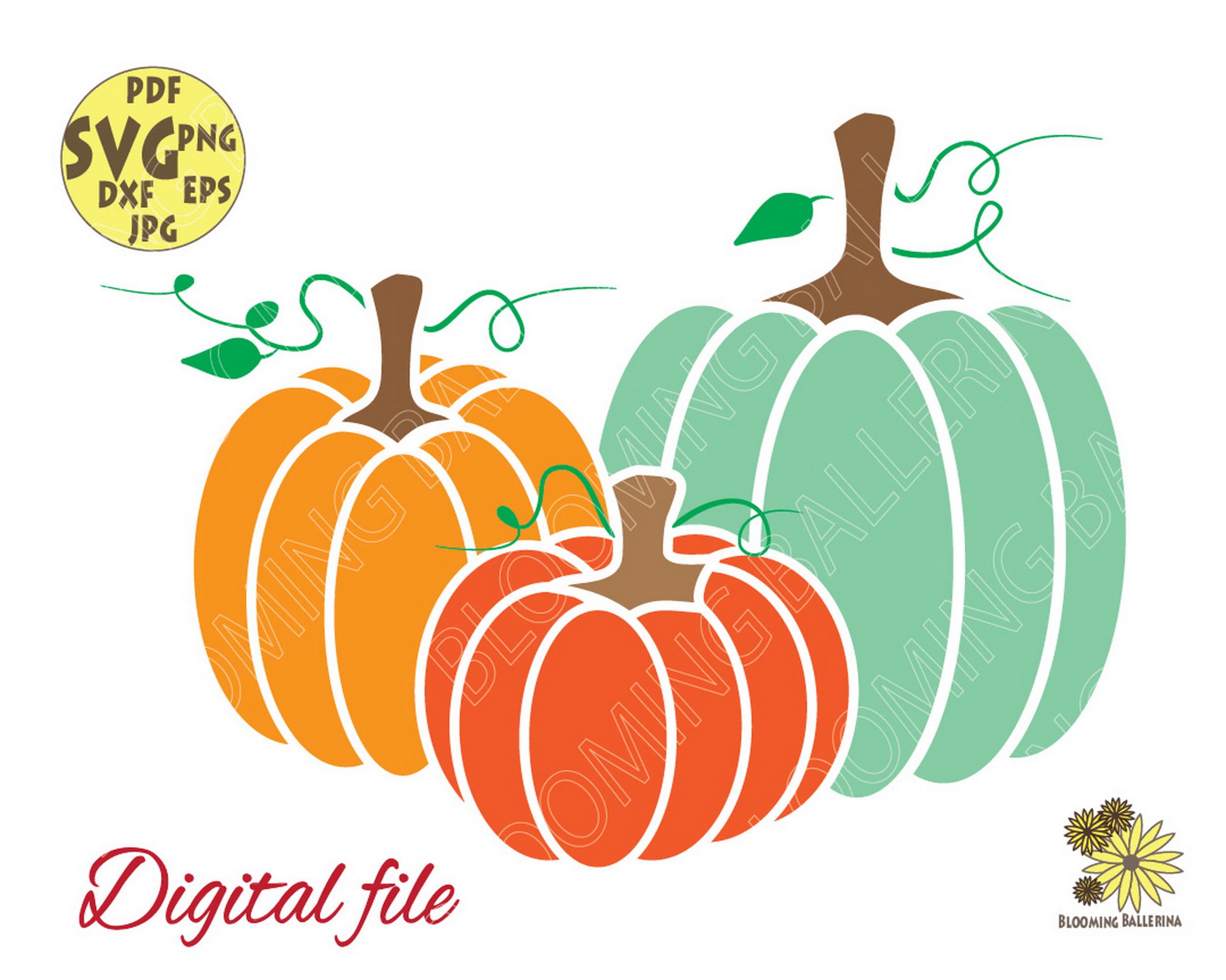 Pumpkin Family Svg File Pumpkin Cut File Pumpkin Clipart | Etsy
