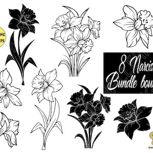 Narcissus Flower Bouquet Svg file, Narcissus Bundle, March Birth Month flower Svg, Narcissus Png, Floral bouquet png, Spring Svg, Flower Svg