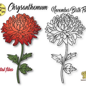 Chrysanthemum Flower Svg file, November Birth Flower Svg, Chrysanthemum Flower Png, Chrysanthemum Flower Cricut Cut file, Birth Month Flower image 1