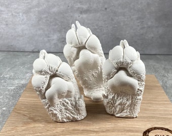 Paw Casting Kit produce 4 Individual Castings Etsy Canada