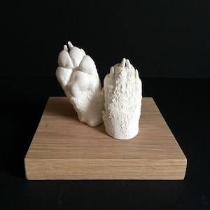 Paw Casting Kit - (Produce 4 individual castings)