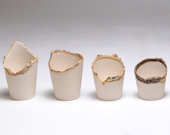 Series of 7 Deteriorating Porcelain Cup Forms