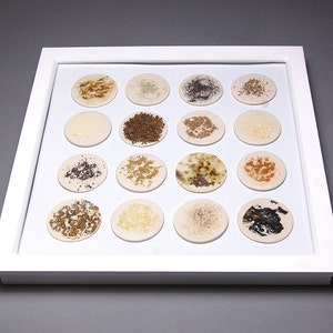 Könnte beinhalten: Ein weißer Rahmen mit 16 kleinen weißen Kreisen, die jeweils eine andere Art von braunem, beigefarbenem und schwarzem Material enthalten.