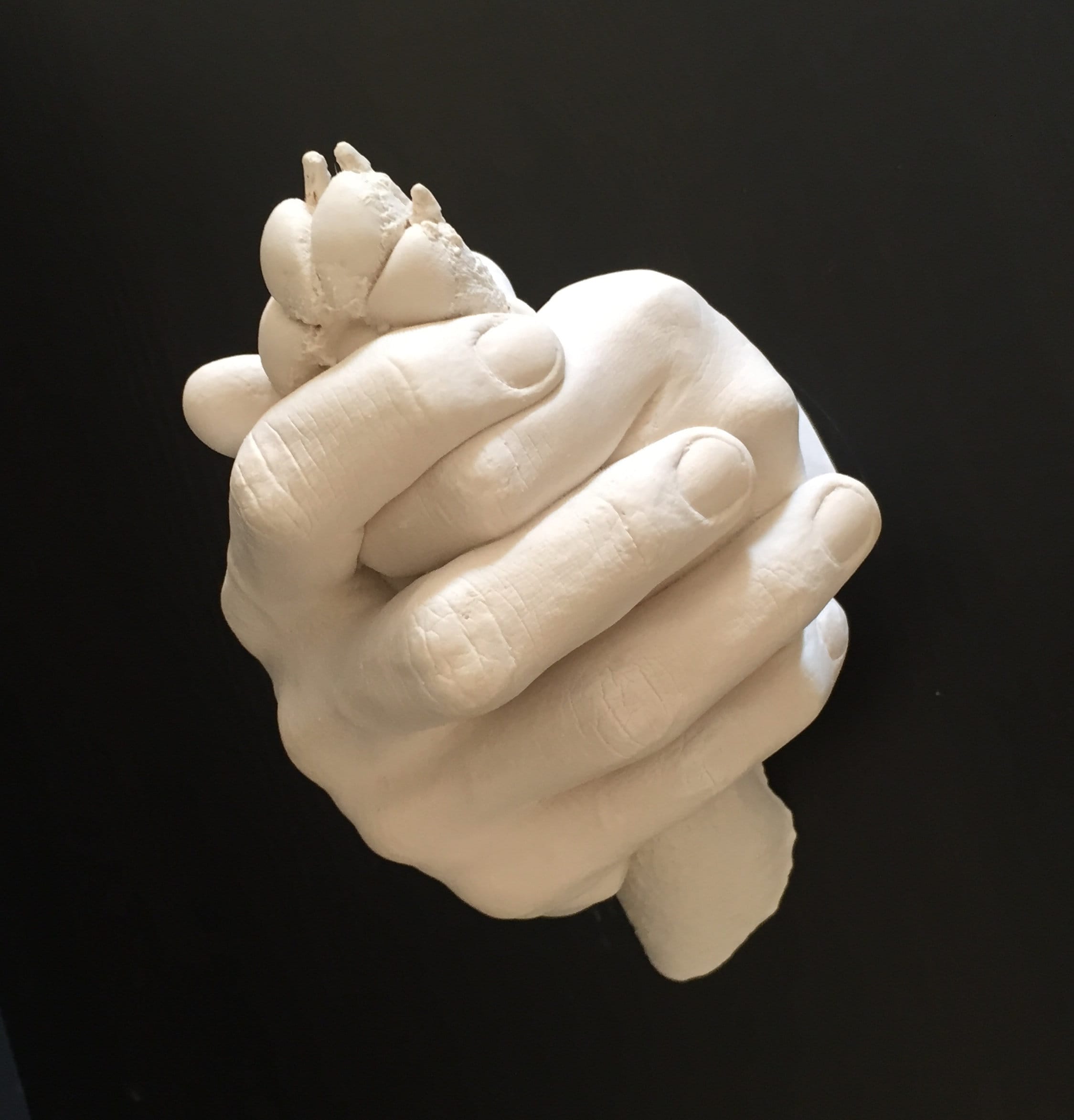 Hand & Paw Casting Kit Etsy