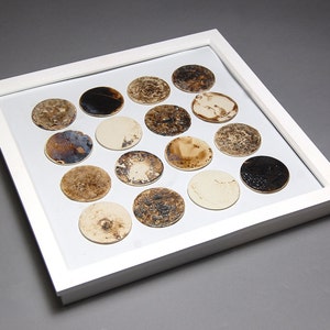 Glazed Porcelain Tile Collection