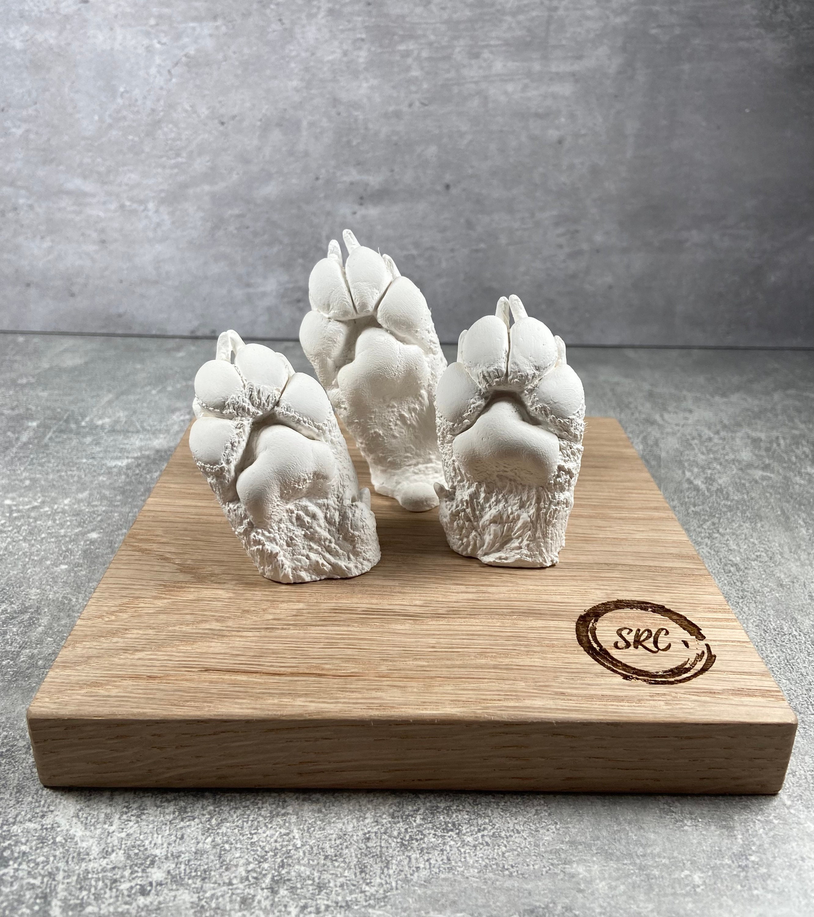 Paw Casting Kit produce 4 Individual Castings Etsy