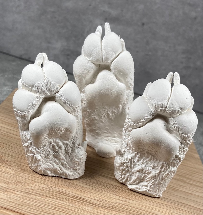 Paw Casting Kit produce 4 Individual Castings Etsy