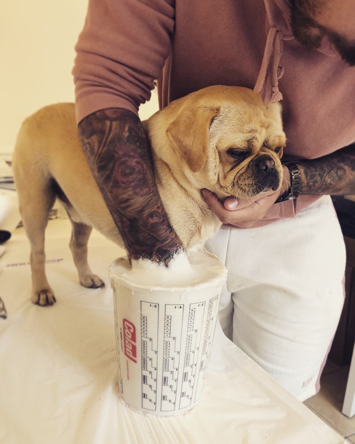 Paw Casting Kit – Silly Doggo