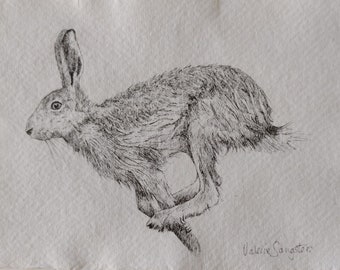 Original pen & ink drawing of a hare