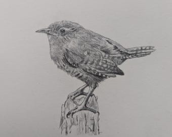 鉛筆画 雀 スズメ すずめ】鉛筆画 鳥をいろいろ描いて来ましたが、今回は雀にしました