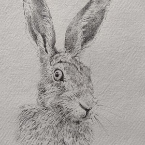 Origineel kunstwerk. A5 pen- en inkttekening van een haas op handgemaakt kringlooppapier. Niet ingelijst.