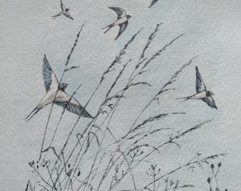 Original pen & ink and watercolour drawing of swallows over the fields.