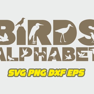 Pájaros svg, Fuente pájaros, Decoración de vivero, Naturaleza svg, Fuente de vida silvestre, Alfabeto de biología, Alfabeto de niños, Decoración de habitaciones para niños