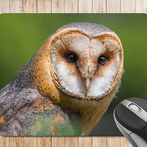 May include: A close-up of a barn owl with brown and white feathers. The owl has large, bright yellow eyes and a heart-shaped face.
