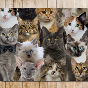 May include: A collage of various cat breeds, including a grey tabby, a Siamese, a Maine Coon, a Sphynx, and a black cat. The cats are all looking at the camera with different expressions.