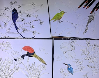 Japanese Birds four page digital bundle, The Fish Pond; a piece by piece adult colouring book.